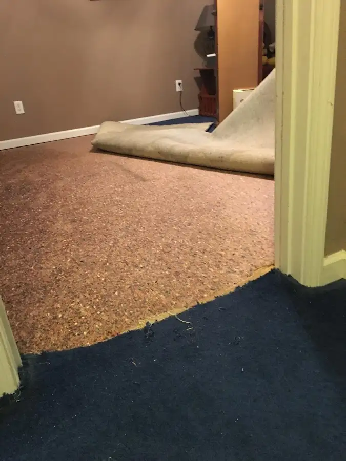 Carpet pad removal revealing water damage during Drying & Dehumidification in Covedale